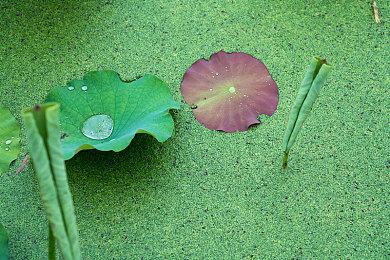 索尼：2025年开始每年都发售大型3A单人游戏